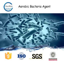 Аэробные бактерии Агент очистки Речной воды 